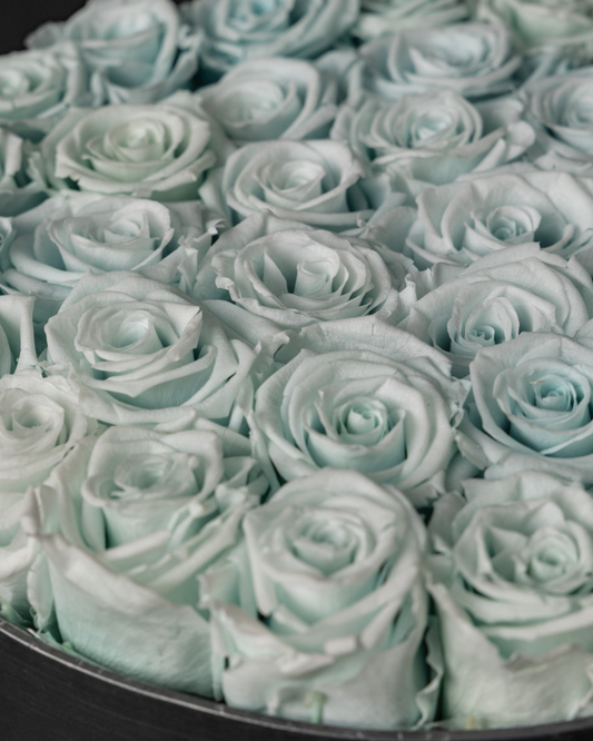 Rosas Eternas Tiffany
