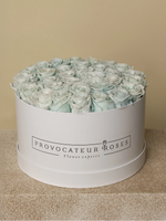 Rosas Eternas Tiffany - Elegancia blanca