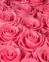 I Love U – Rosas Preservadas en Rosa