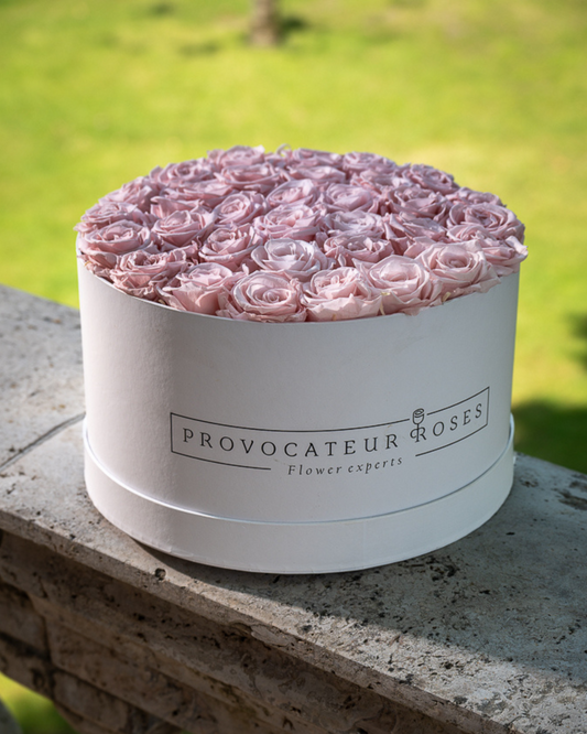 Rosas Eternas Baby Blush