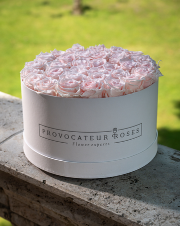 Eternal Roses Rosita