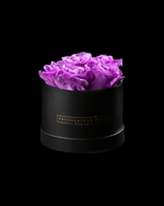 Pure White Preserved Roses