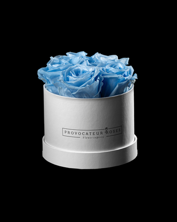 Pure White Preserved Roses
