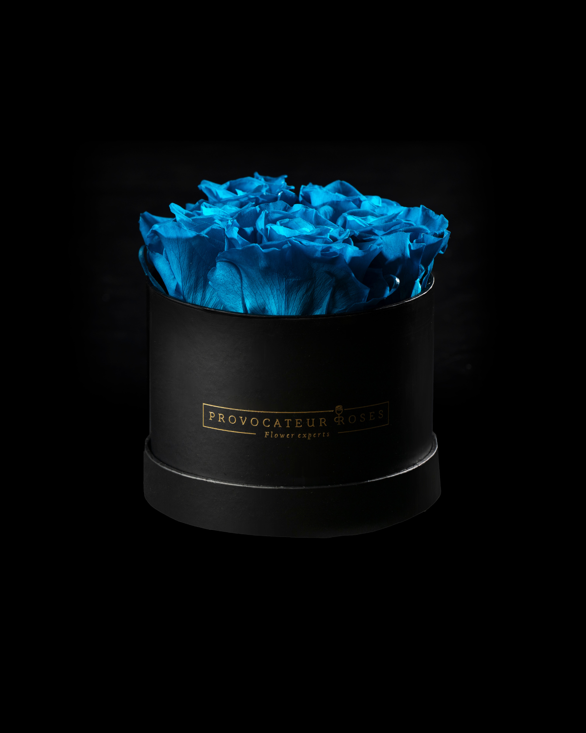 Blue Velour – Akiles Roses