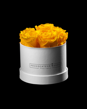Pure White Preserved Roses