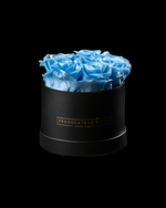 Pure White Preserved Roses