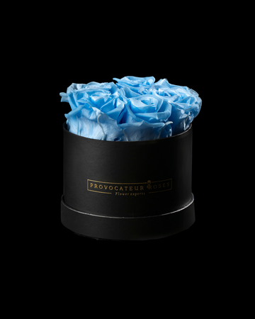 Pure White Preserved Roses