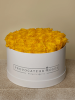 Rosas Preservadas Sunny Yellow - Elegancia blanca