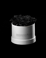 Pure White Preserved Roses