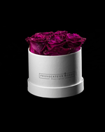 Pure White Preserved Roses