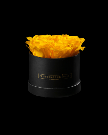 Pure White Preserved Roses