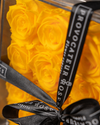16 Yellow Preserved Roses in Acrylic Box