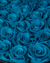 Aquamarine Eternal Roses