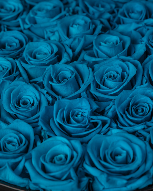 Rosas Eternas Aquamarine