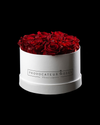 Pure White Preserved Roses