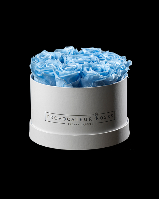 Bleu Céleste Luminosa