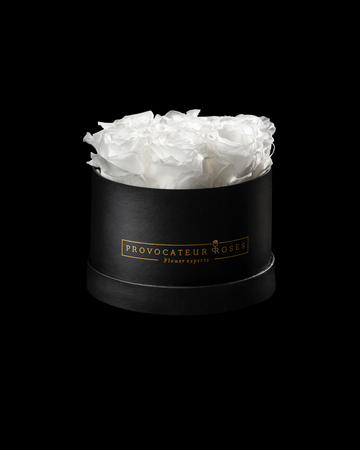 Pure White Preserved Roses