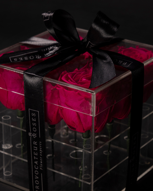 16 Rosas Preservadas Rojas en Caja Acrílica