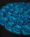 Aquamarine Eternal Roses