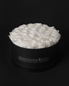Pure White Preserved Roses