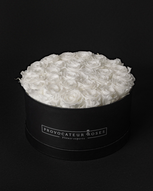 Rosas Preservadas Pure White