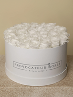 Rosas Preservadas Pure White - Elegancia blanca