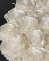 White Pearl Infinite Rose Box