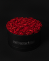 Rosas Eternas Red Infinite