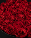 Rosas Eternas Red Infinite