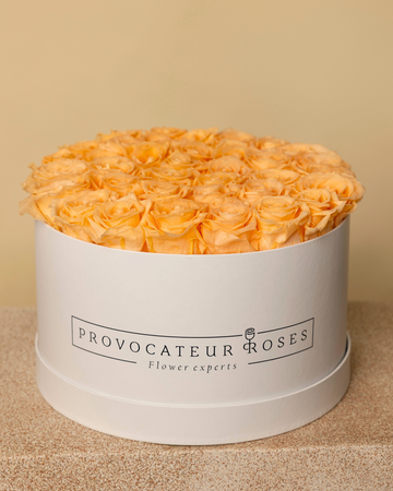 Roses éternelles pêche - Élégance blanche