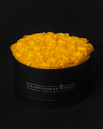 Rosas Preservadas Sunny Yellow