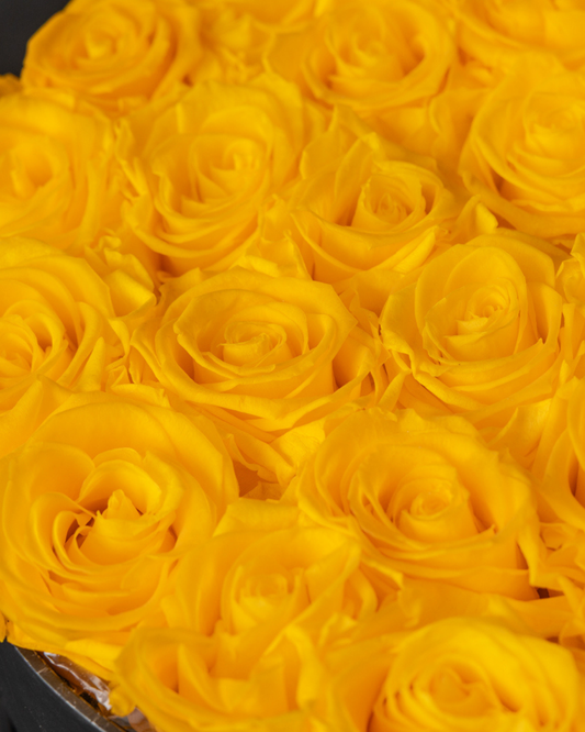 Rosas Preservadas Sunny Yellow