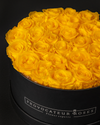 Sunny Yellow Preserved Roses