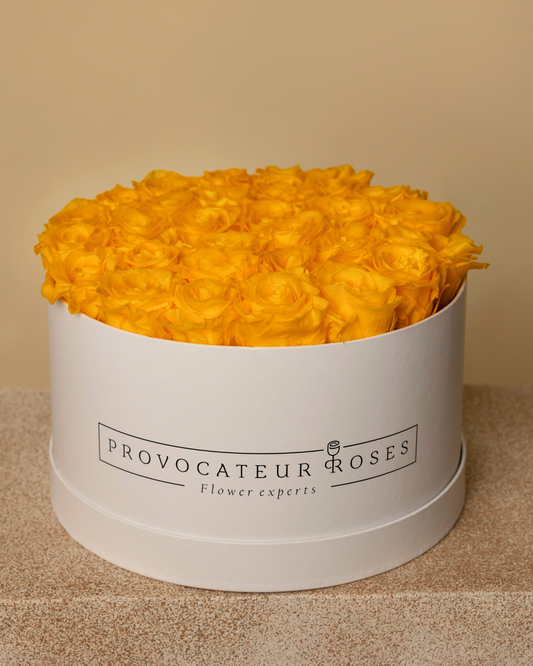 Rosas Preservadas Sunny Yellow - Elegancia blanca