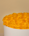 Rosas Preservadas Sunny Yellow - Elegancia blanca
