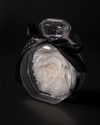 Rose éternelle blanche