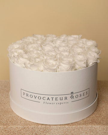 Rosas Preservadas Pure White - Elegancia blanca