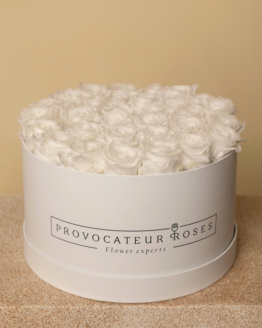 Pure White Preserved Roses - White Elegance