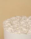 Rosas Preservadas Pure White - Elegancia blanca
