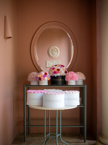 Historia que cautiva