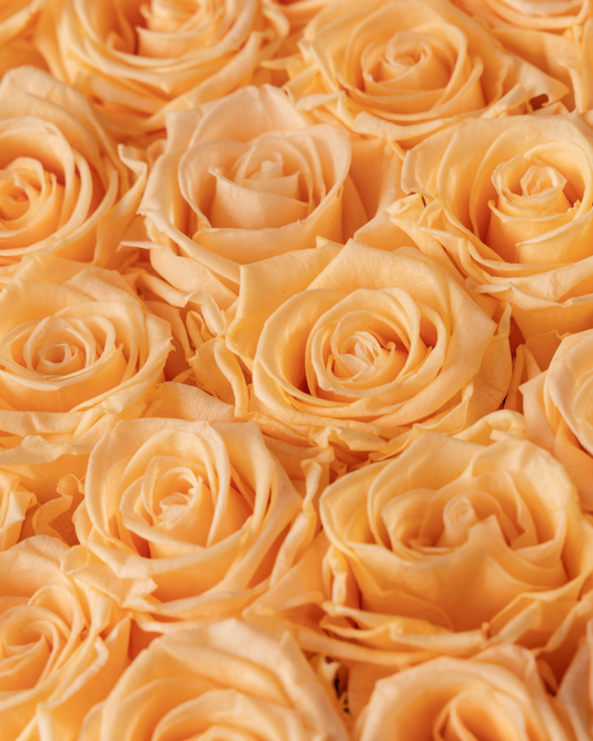 Eternas Glamour Melocotón