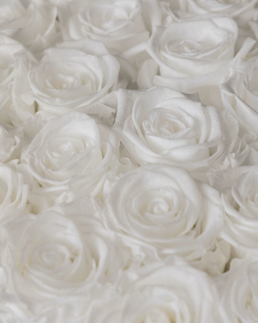 I Love U – Rosas Preservadas Blancas