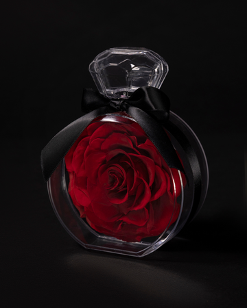 Rosa Eterna Roja