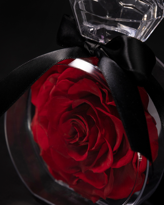 Rosa Eterna Roja
