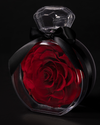 Rosa Eterna Roja