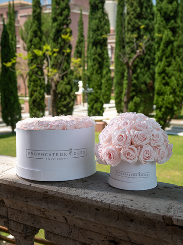 Simbolismo y sensibilidad