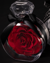 Rosa Eterna Roja