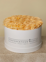 Peach Eternal Roses - White Elegance