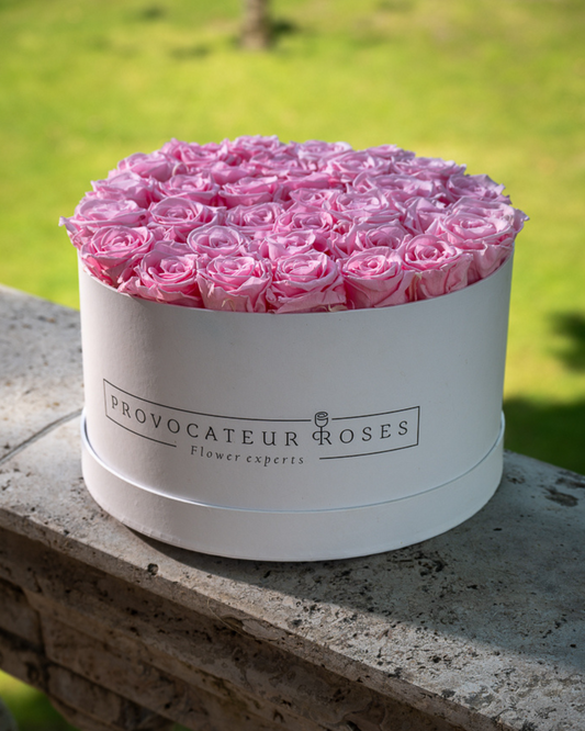 Rosas Eternas Baby Pink