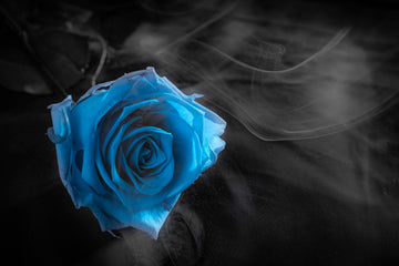 Mystery and distinction